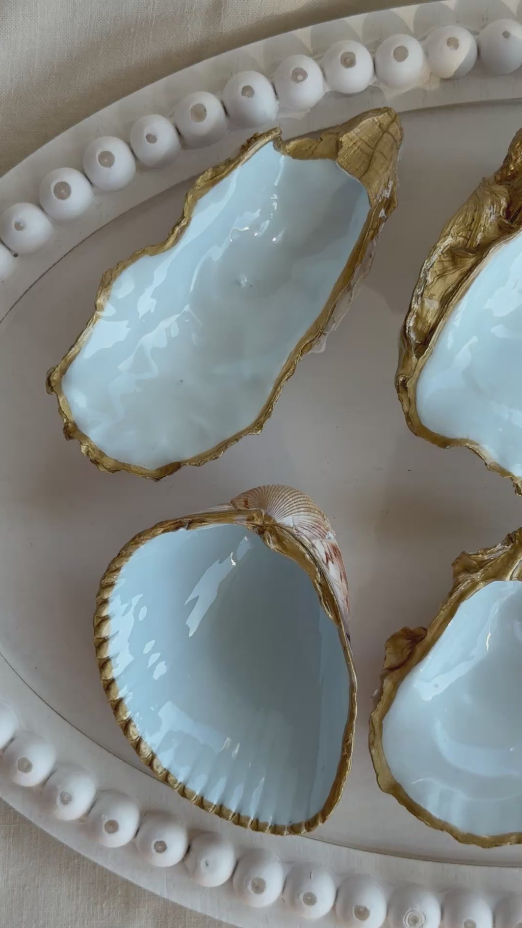 Sky blue shell trays